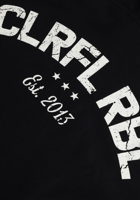 Zwarte COLOURFUL REBEL Sweater CR EST. 2013 BACK PRINT HOODIE - large