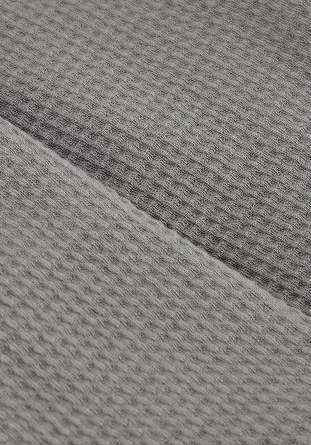 Grijze MR. LOUTRE Korte broek ODD - large