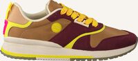 Bruine SCOTCH & SODA Lage sneakers VIVI Bruine SCOTCH & SODA Lage sneakers VIVI - medium
