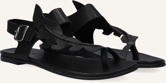 Zwarte NOTRE-V Platte sandalen 101325 Zwarte NOTRE-V Platte sandalen 101325 - large