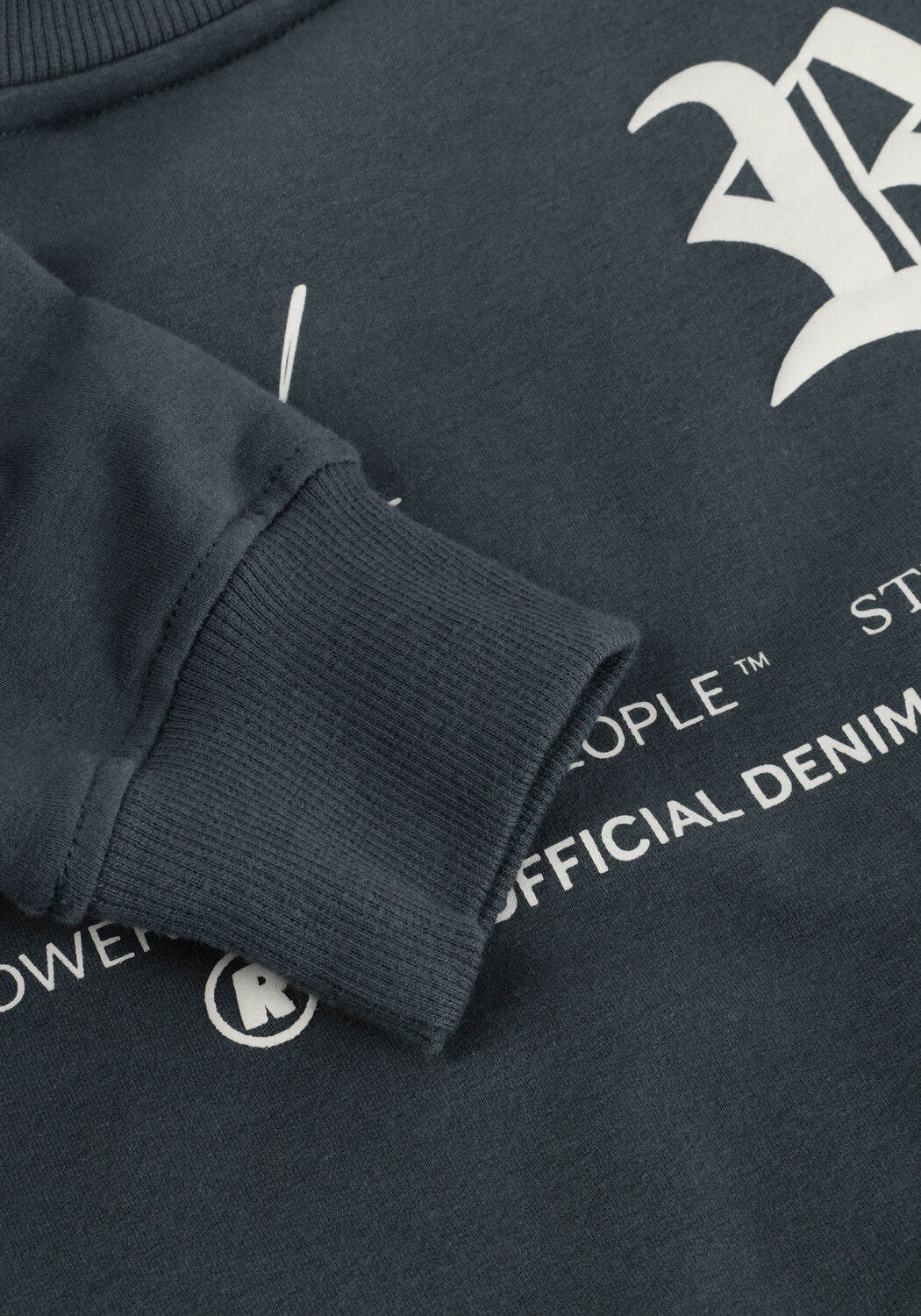 RAIZZED NILE - large