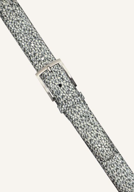 Grijze FLORIS VAN BOMMEL Riem CFM-10075-03 Grijze FLORIS VAN BOMMEL Riem CFM-10075-03 - large