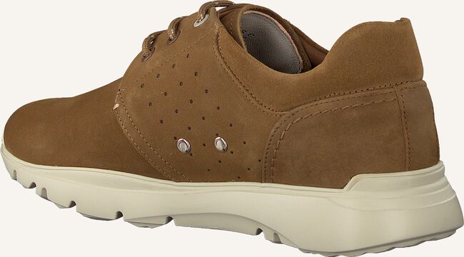 Taupe PANAMA JACK Lage sneakers JULIUS Taupe PANAMA JACK Lage sneakers JULIUS - large