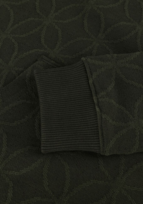 Groene SCOTCH & SODA Sweater JACQUARD HOODIE Groene SCOTCH & SODA Sweater JACQUARD HOODIE - large