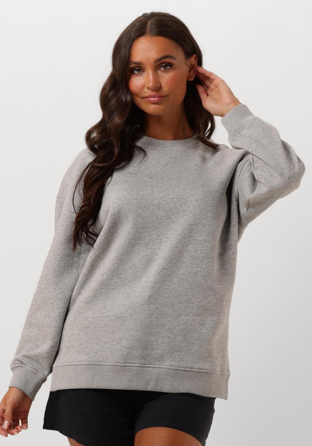 SELECTED FEMME Dames Truien & Vesten Slfgia Yrsa Ls Crew Neck Sweat Lichtgrijs
