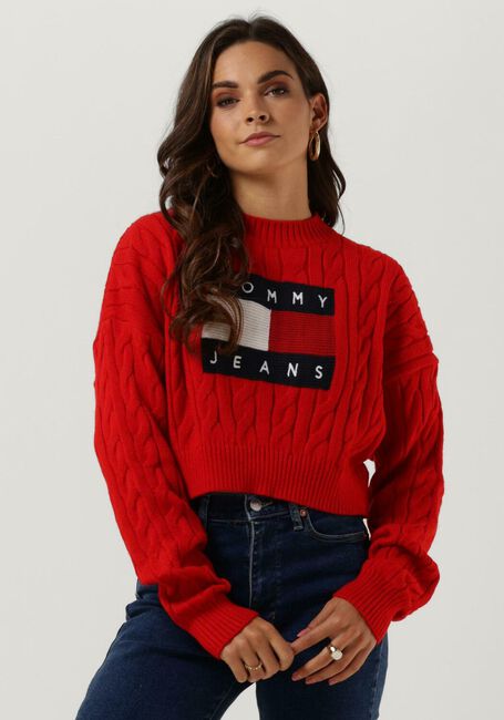 Rode TOMMY JEANS Trui SWEATERS 01 - large