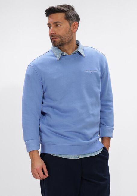 Lichtblauwe TOMMY JEANS Sweater TJM REG BADGE HOODIE EXT - large