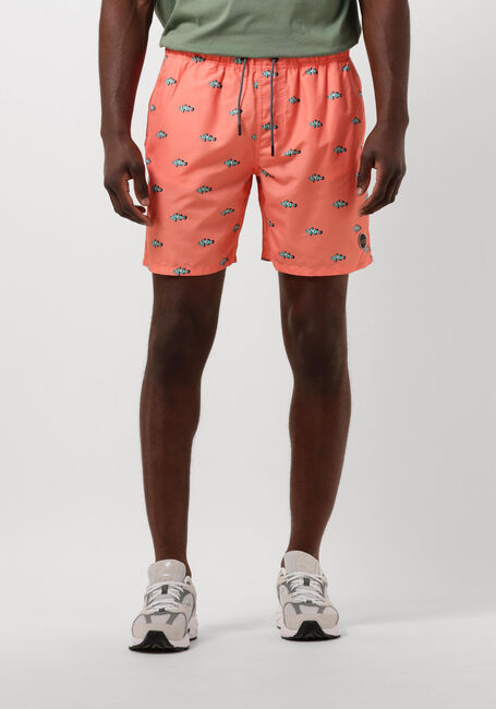 Oranje SHIWI Zwembroeken MEN SWIMSHORT CLOWNFISH - large