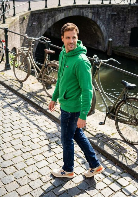 Groene TOMMY JEANS Sweater TJM REG BADGE HOODIE - large