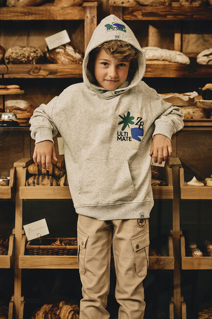 Lichtgrijze Z8 Truien/vesten JONAS - large