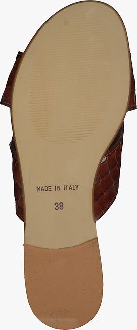 Bruine SCAPA Slippers 21/19248CR - large