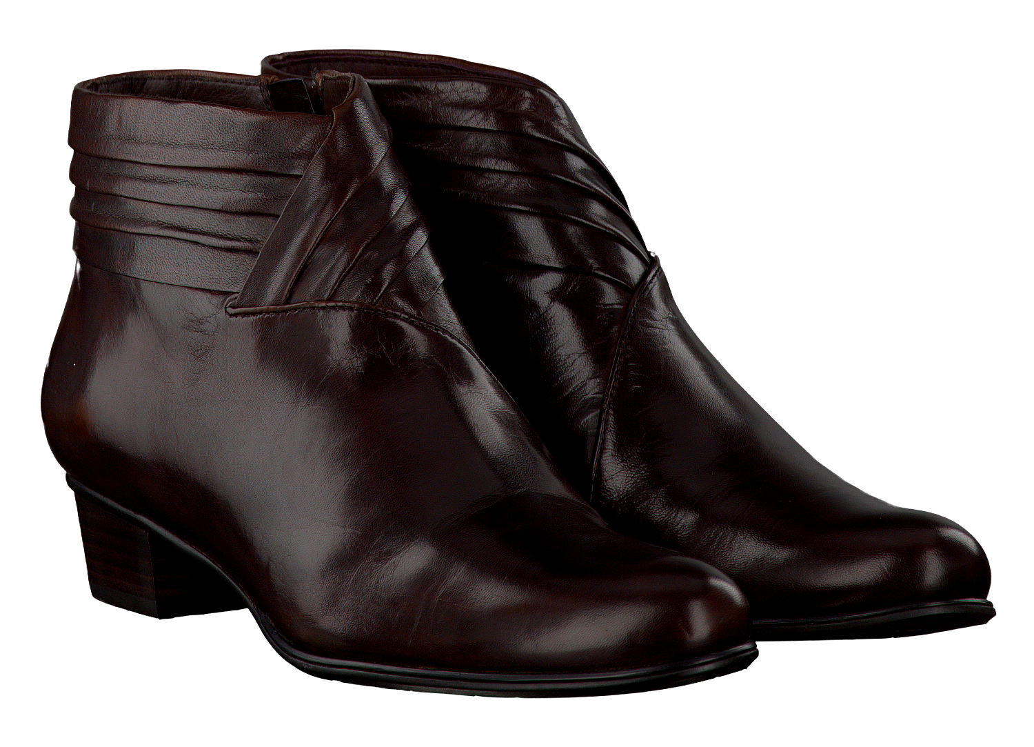 Bruine EVERYBODY Lange laarzen 49659 | Omoda Bruine EVERYBODY Lange laarzen 49659 | Omoda