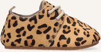 Cognac LITTLE INDIANS Sneakers OXFORD BOOTIES Cognac LITTLE INDIANS Sneakers OXFORD BOOTIES - medium