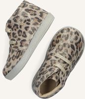 Beige FALCOTTO Sneakers CONTE Beige FALCOTTO Sneakers CONTE - medium