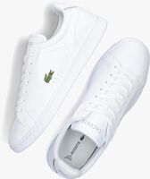 Witte LACOSTE Lage sneakers CARNABY PRO - medium
