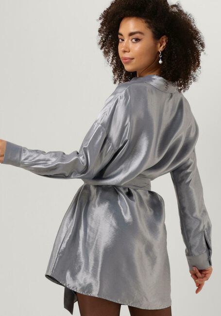 Zilveren SELECTED FEMME Mini jurk SLFSILVIA-TONIA LS SHIRT DRESS - large