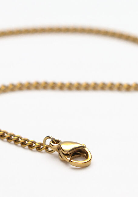Goudkleurig NOTRE-V Kettingen KETTING MUNT - large