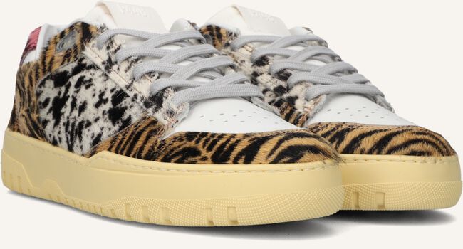 Multi P448 Lage sneakers MASON WMN Multi P448 Lage sneakers MASON WMN - large