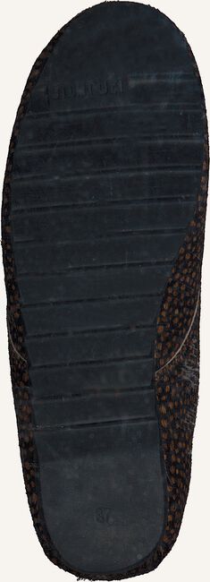 Bruine MARUTI Veterschoenen GINNY Bruine MARUTI Veterschoenen GINNY - large