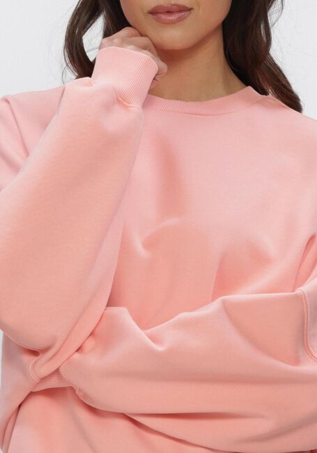 Roze DRYKORN Trui ASTERA_P4 - large