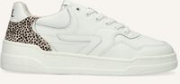 Witte HUB Lage sneakers COURT-Z - medium