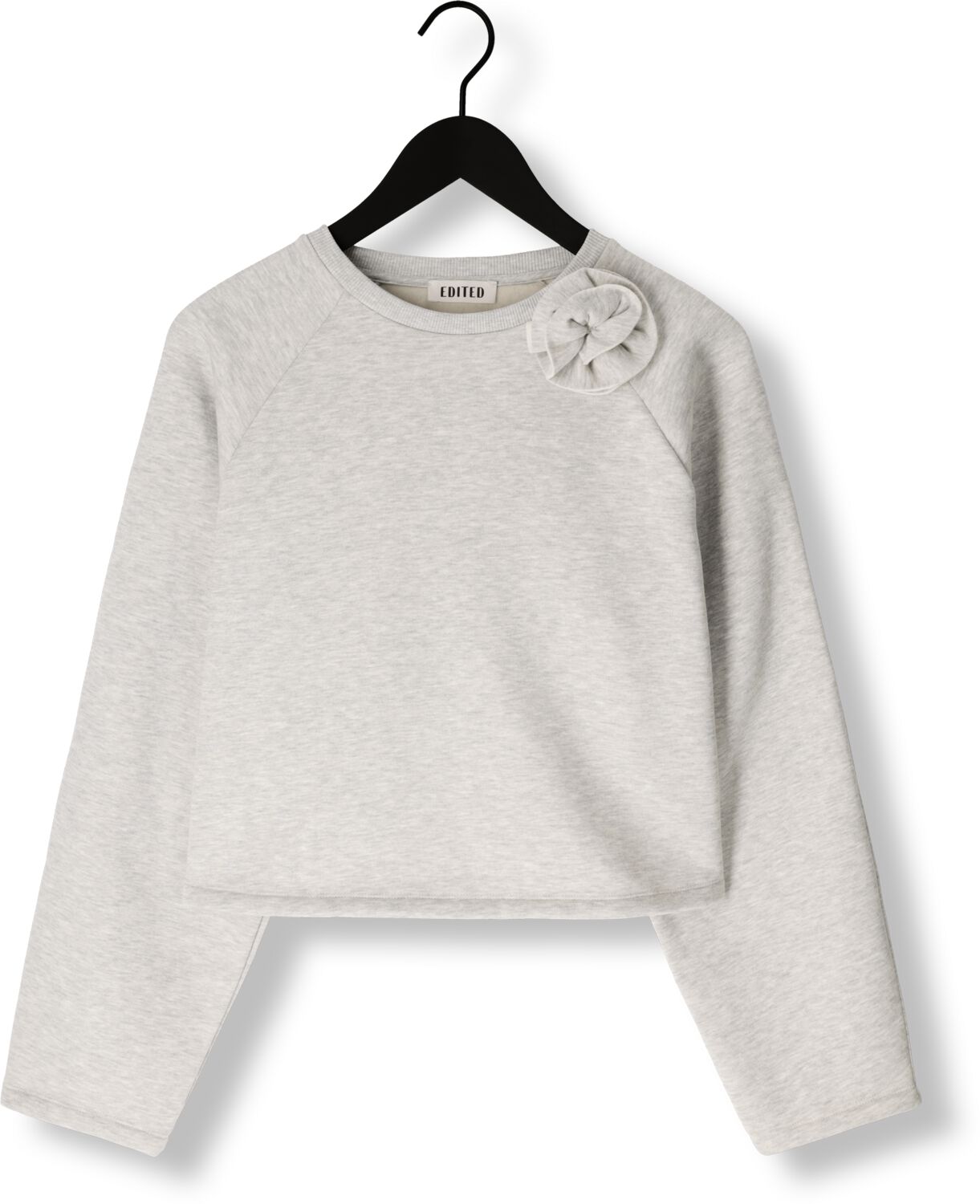 EDITED Dames Truien & Vesten Xezal Sweater Grijs