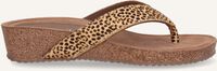 Beige LAZAMANI Teenslippers 75.485 Beige LAZAMANI Teenslippers 75.485 - medium