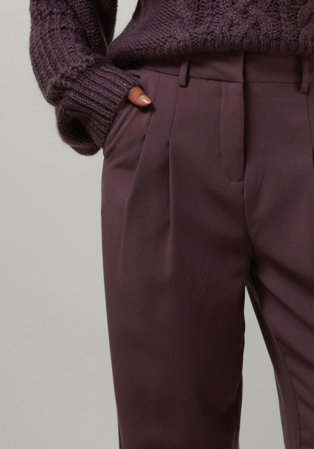 MSCH COPENHAGEN Dames Broeken Mschmirabelle Michelle Hw Pleat Pants Paars