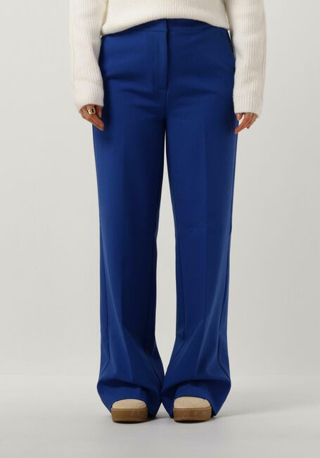 Blauwe ANOTHER LABEL Pantalon MOORE PANTS - large