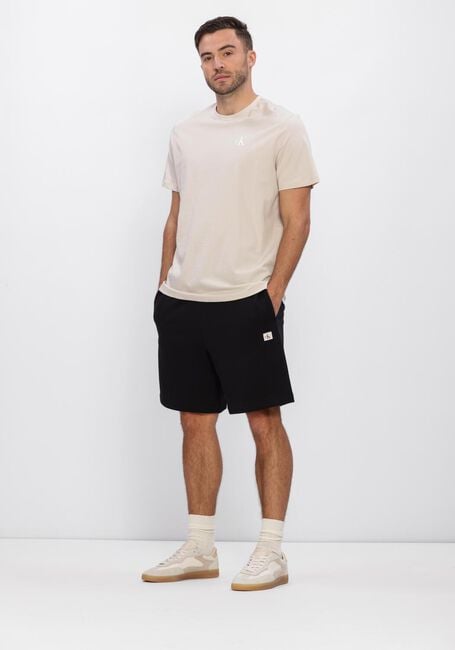 Beige CALVIN KLEIN T-shirt SS 30S CLASSIC BACK MONOLOGO TEE - large