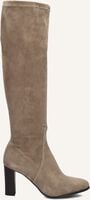 Taupe STEFANO LAURAN Hoge laarzen 97480 Taupe STEFANO LAURAN Hoge laarzen 97480 - medium