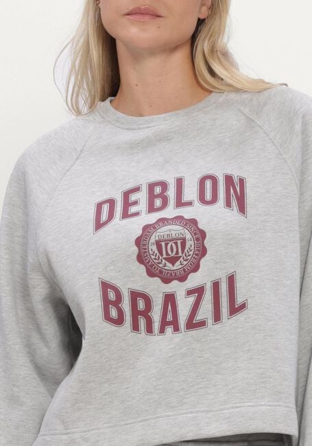 Grijze DEBLON SPORTS Sweater AYMEE SWEATER - large