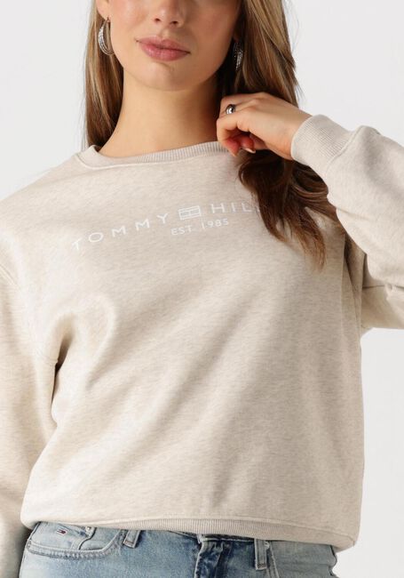Beige TOMMY HILFIGER Sweater MDRN REG CORP LOGO C-NK SWTSHRT - large