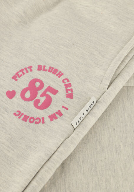 Grijze PETIT BLUSH Joggingbroek WIDE LEG JOGGER - large