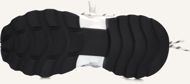 Witte STEVE MADDEN Lage sneakers TAZMANIA Witte STEVE MADDEN Lage sneakers TAZMANIA - large