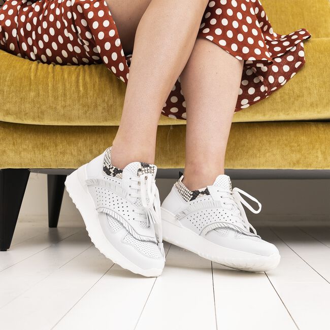 Witte NOTRE-V Lage sneakers AG283 Witte NOTRE-V Lage sneakers AG283 - large
