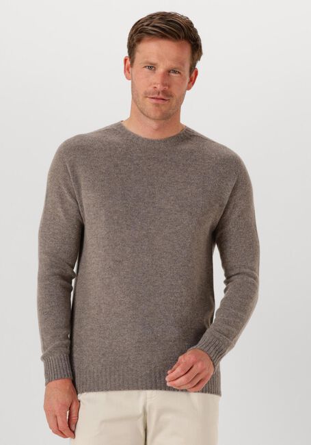 Grijze PROFUOMO Trui PULLOVER CREW NECK - large
