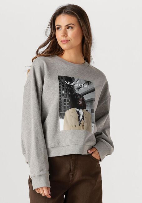 Grijze STUDIO ANNELOES Sweater CHARLIE SWEATER - large