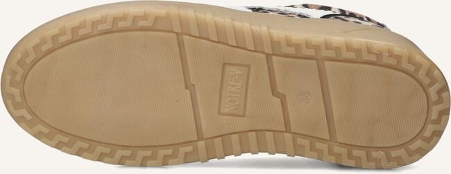 NOTRE-V ANEMONE-63 NOTRE-V ANEMONE-63 - large