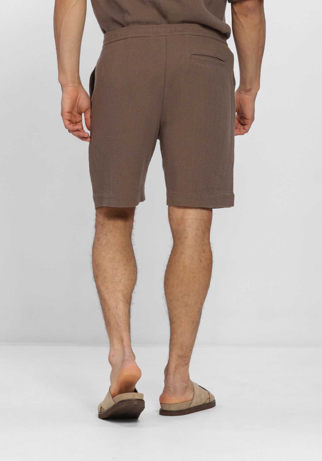 Bruine SELECTED MEN Broeken SLHREGCAL SHORTS - large