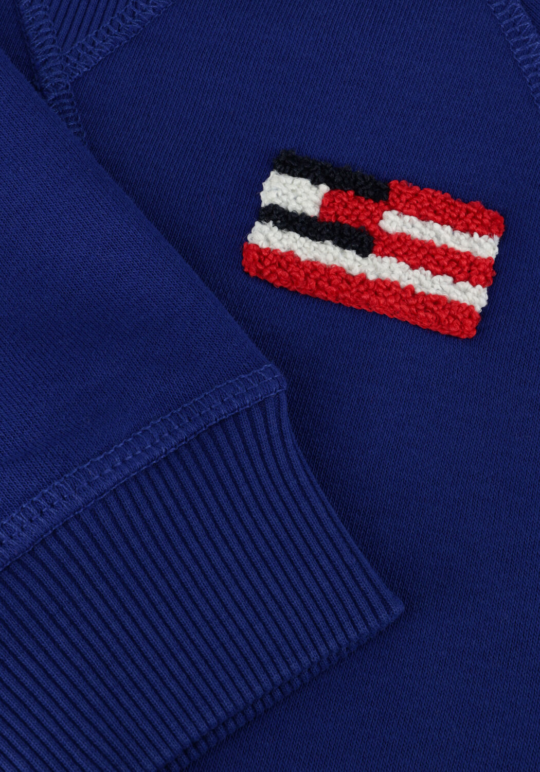 TOMMY HILFIGER Jongens Truien & Vesten Hilfiger Flag Relaxed Sweatshirt Blauw