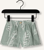 Groene PLAY UP Korte broek PRINTED WOVEN SHORTS B Groene PLAY UP Korte broek PRINTED WOVEN SHORTS B - medium