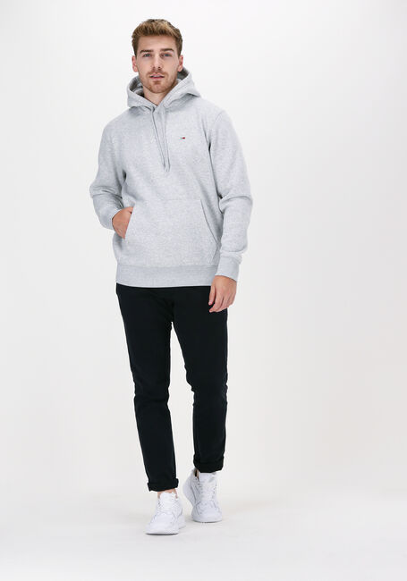 Lichtgrijze TOMMY JEANS Sweater TJM REGULAR FLEECE HOODIE - large