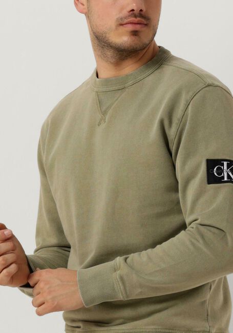 Groene CALVIN KLEIN Sweater WASHED BADGE CREW NECK - large