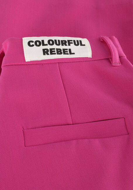 Roze COLOURFUL REBEL Pantalon RUS UNI STRAIGHT PANTS - large