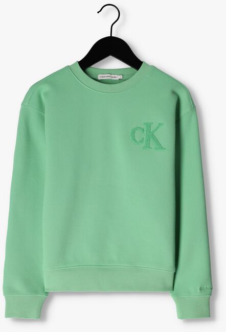 Groene CALVIN KLEIN Sweater INTERLOCK PIQUE SWEATSHIRT - large