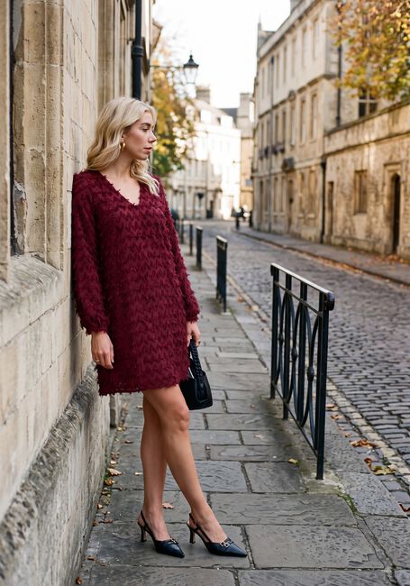 Bordeaux SELECTED WOMEN Mini jurk SLWMYLA LS RELAXED SHORT DRESS - large