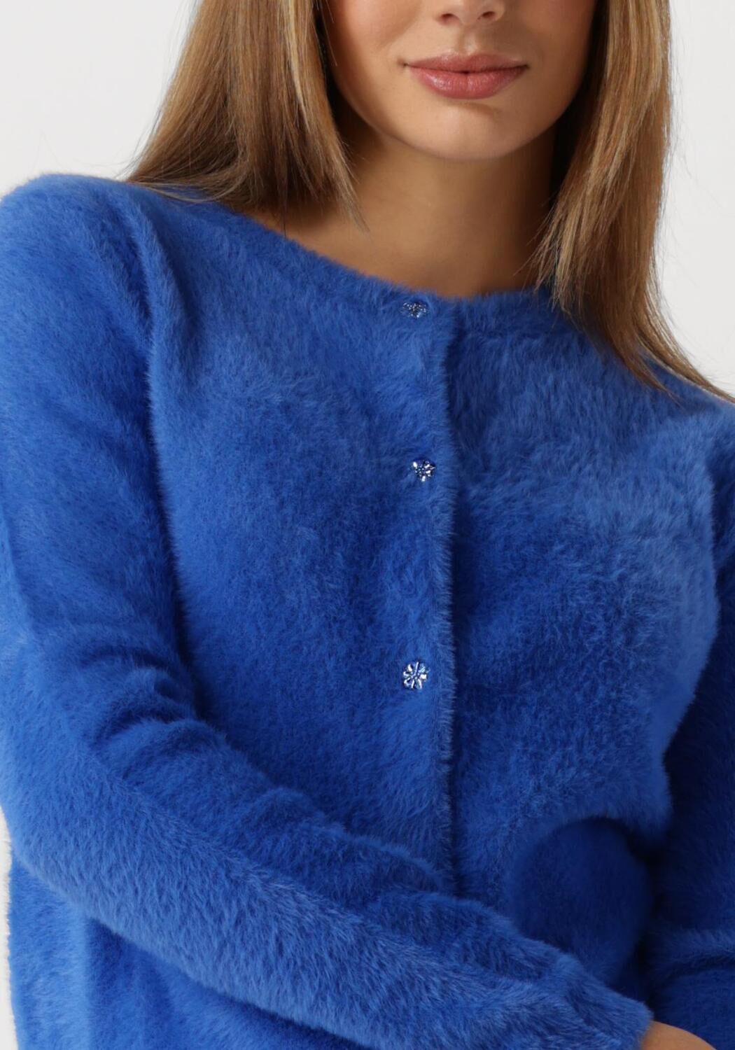 FABIENNE CHAPOT Dames Truien & Vesten Kate Cardigan Blauw