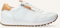 Witte PAUL GREEN Lage sneakers 4085 - medium