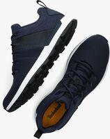 Blauwe TIMBERLAND Lage sneakers SPRINT TREKKER LOW FABRIC - medium